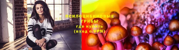 jwh Горно-Алтайск