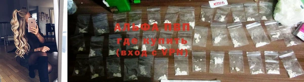 стаф Горнозаводск