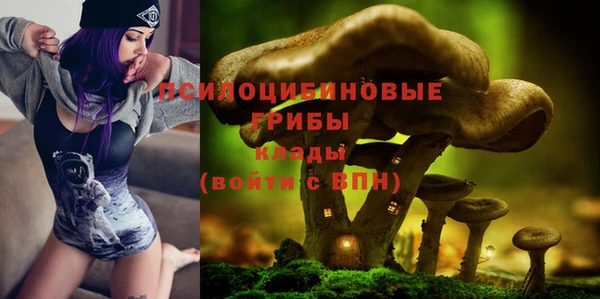 стафф Горняк