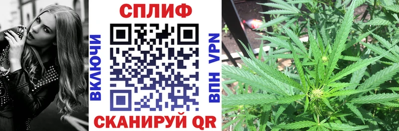 Каннабис ГИДРОПОН даркнет сайт Омутнинск